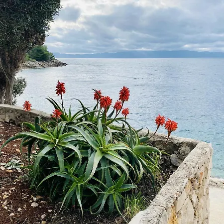 Seaside Secluded Cove Lucica, Hvar - 15546