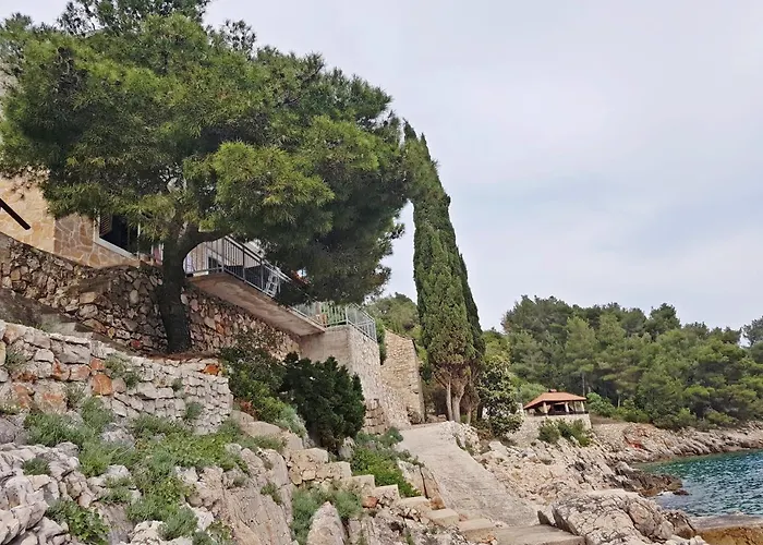 Seaside Secluded Cove Lucica, Hvar - 15546 Lejlighed *
