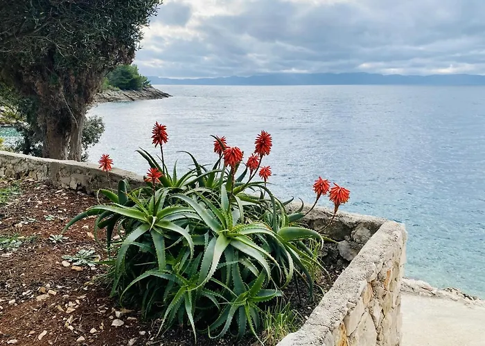 Seaside Secluded Cove Lucica, Hvar - 15546
